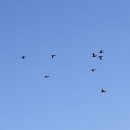 순천만풍경 이미지