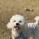 발라당눕스 이미지