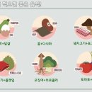 음식궁합 50가지 이미지