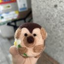 그립톡 양모펠트 이미지