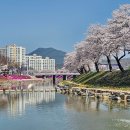 당신은 늘 내 마음 속에 있었어요 이미지