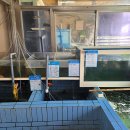 해촌 | 제주 성산일출봉 맛집 / 회정식 한상, 성산해촌 후기