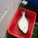 봄의기운 | [안양농수산물시장] 제철 암꽃게 뿌시러 다녀오기!