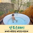 안도스테이 | 제주도 협재 근처 숙소 가족 독채 자쿠지 펜션 안도스테이