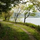 물버들마을 이미지