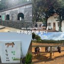 한밭목장 | 제주도 아이들과 가볼만한곳 목장카페 밭디