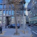 메르덴치과의원 네이버블로그