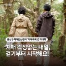 용산구치매안심센터 | 용산구치매안심센터 '치매극복 걷기대회'