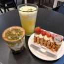 브라운테팔매장(현대백화점중동점) | 부천시청역카페 카페드리옹 현대백화점 중동점