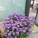 더헤리움인하공인중개사사무소 이미지