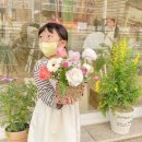 베리데이지 경산 이미지