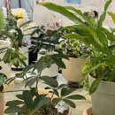 대성1급자동차공업사 이미지