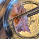 씨유 화성구장사거리점 | 화성맛집 수원사뎅이 | 구장사거리맛집 추천