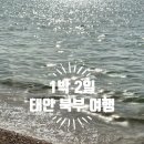 농협하나로마트건너편 - 좌 | [충남 태안] 4월 중순 1박 2일 태안 북부 여행 총정리