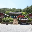 도림사 이미지