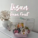 쥬씨 익산영등동점 | 익산 과일바구니 선물로 좋은 신동 과일가게 다온프룻