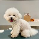 엔조이어블 이미지