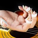 주식회사 엄지 이미지