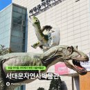 간선-51 | 서울 서대문자연사박물관 공룡 북파크 예약 아이랑 가볼만한곳 주말 방문 찐후기!
