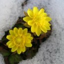 마중가는길 이미지