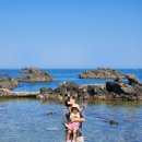 감포도서관 이미지