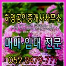 하영공인중개사사무소 이미지