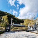 자작나무뜰 오토캠핑장 이미지