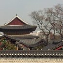 솔잎세탁소 이미지