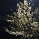 4이얼즈어파트