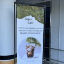 아쿠아모스 | [귀산]귀산에 수족관 힐링 카페 아쿠아모스 방문 후기!‼️