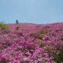 고려의원A(좌측신설) 이미지