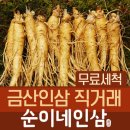 금산인삼직거래 이미지