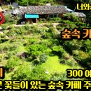 땅파남부동산중개사무소 | [땅파남 부동산] 숲속 전원주택 카페 식물원 평창군 방림면 방림리 토지매매 전체 계획관리지역 카페...