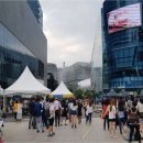 뷰티반려문화 이미지