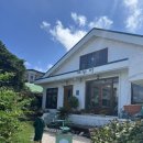 오늘도 화창 | 제주 월정리 감성 카페 디저트 맛집 오늘도화창