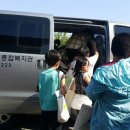 블루베리사슴농장 이미지