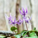 박열목장 이미지