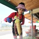 옥수수의 진짜 효능 8가지 이미지