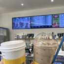 강남대로79길 16 (1) | [빽다방]빽다방 붕어빵 찐후기