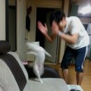 신인식 | [W.09] 제주 웨딩스냅 온숨스냅 촬영 후기: 일반인이 왜 연예인병에 걸리게요?