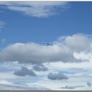 나루터 회관 이미지