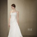 바이독한 이미지