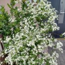 고운 경로당 이미지