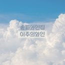 송파와인집 이미지