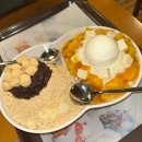 태민동물병원 | 1