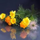 할머니경로당 이미지