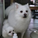 이쁜이세탁 이미지