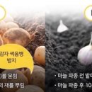 양화축산 이미지