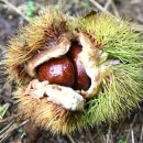 지구농장 이미지