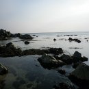바다속자연산